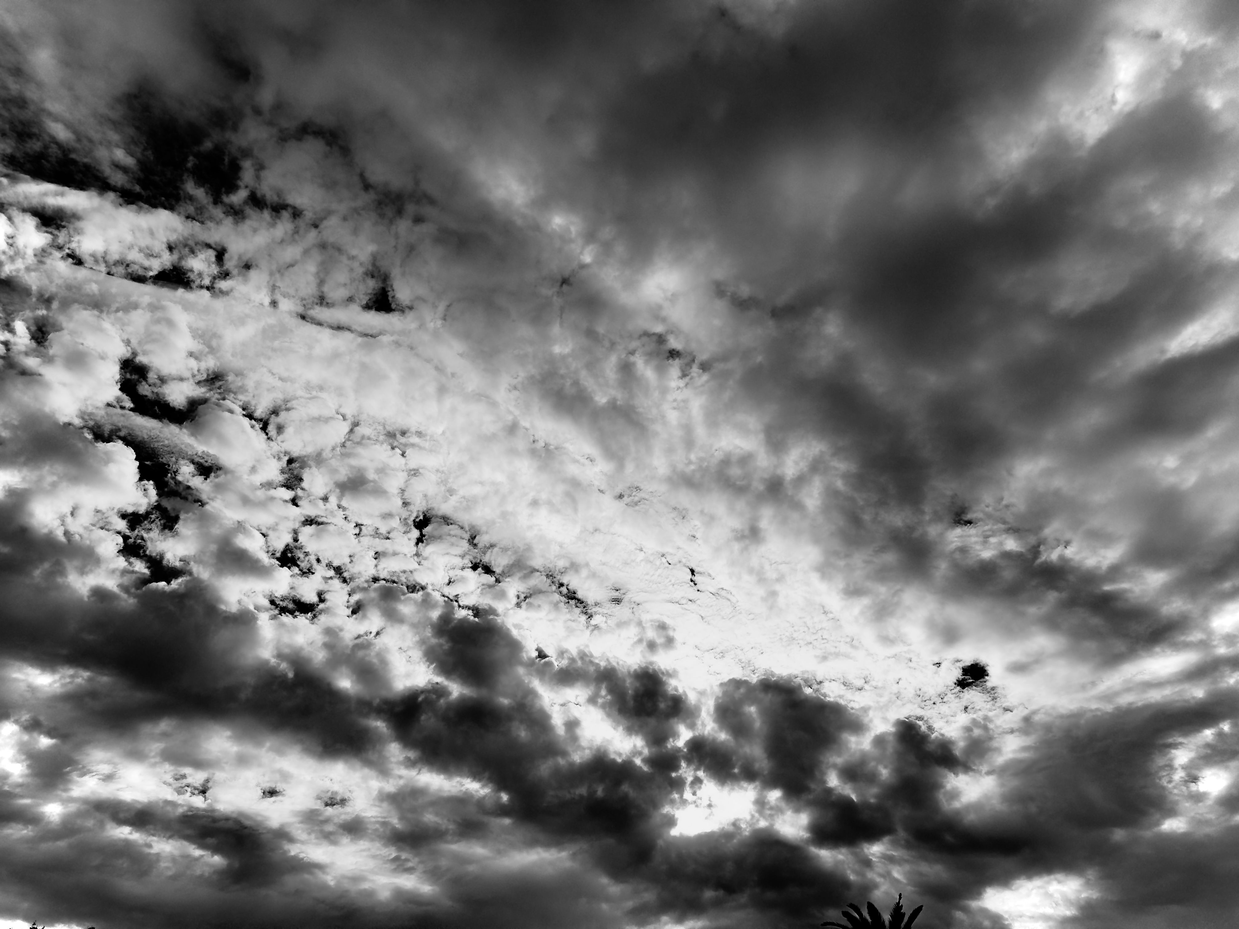 Textured altocumulus clouds